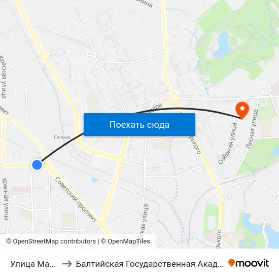 Улица Маршала Борзова to Балтийская Государственная Академия Рыбопромыслового Флота. Корпус 3 map