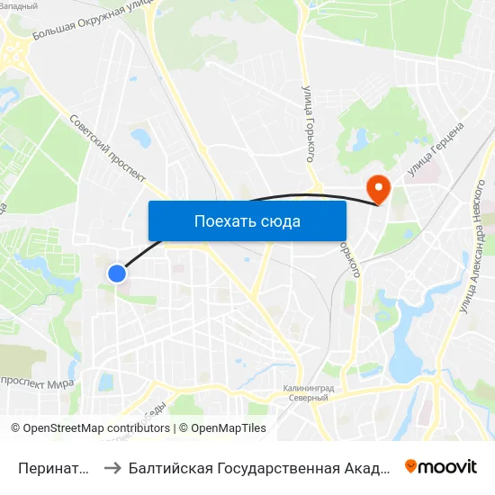 Перинатальный Центр to Балтийская Государственная Академия Рыбопромыслового Флота. Корпус 3 map