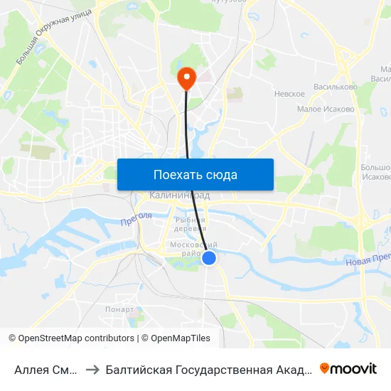 Аллея Смелых (В Центр) to Балтийская Государственная Академия Рыбопромыслового Флота. Корпус 3 map