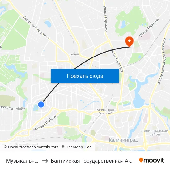 Музыкальный Театр (В Центр) to Балтийская Государственная Академия Рыбопромыслового Флота. Корпус 3 map