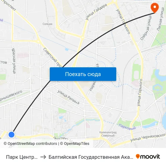 Парк Центральный (В Центр) to Балтийская Государственная Академия Рыбопромыслового Флота. Корпус 3 map