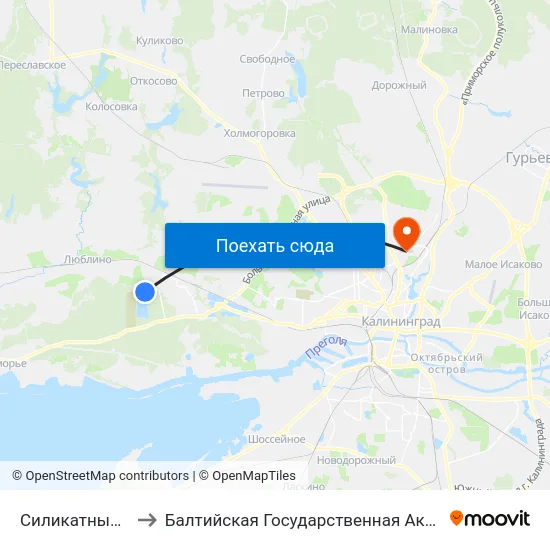 Силикатный Завод (Конечная) to Балтийская Государственная Академия Рыбопромыслового Флота. Корпус 3 map