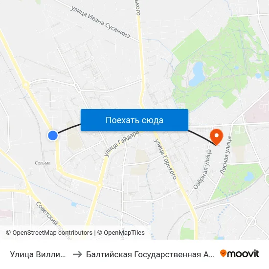 Улица Виллима Фермора (В Центр) to Балтийская Государственная Академия Рыбопромыслового Флота. Корпус 3 map