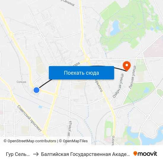 Гур Сельма (В Центр) to Балтийская Государственная Академия Рыбопромыслового Флота. Корпус 3 map