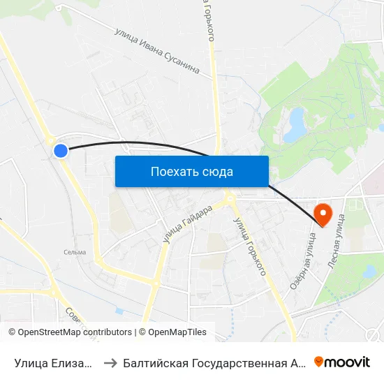 Улица Елизаветинская (Из Центра) to Балтийская Государственная Академия Рыбопромыслового Флота. Корпус 3 map