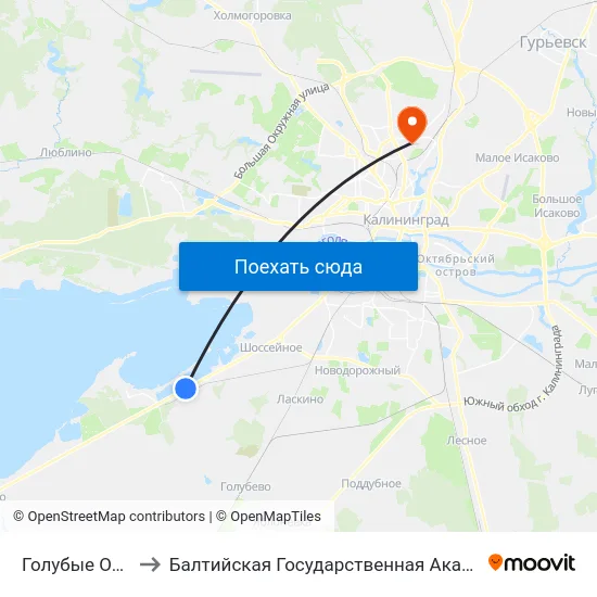 Голубые Озера (Из Центра) to Балтийская Государственная Академия Рыбопромыслового Флота. Корпус 3 map
