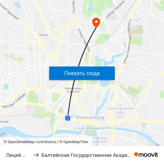 Лицей №23 (В Центр) to Балтийская Государственная Академия Рыбопромыслового Флота. Корпус 3 map