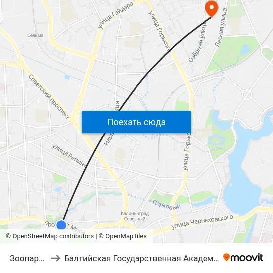Зоопарк (В Центр) to Балтийская Государственная Академия Рыбопромыслового Флота. Корпус 3 map