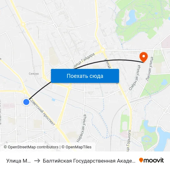 Улица Молочинского to Балтийская Государственная Академия Рыбопромыслового Флота. Корпус 3 map