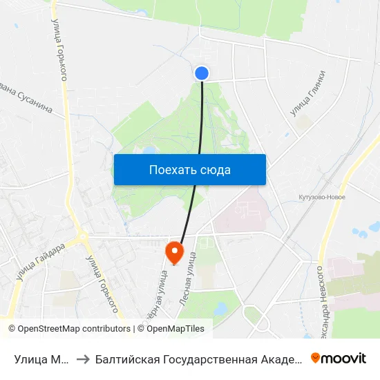 Улица Малая Лесная to Балтийская Государственная Академия Рыбопромыслового Флота. Корпус 3 map