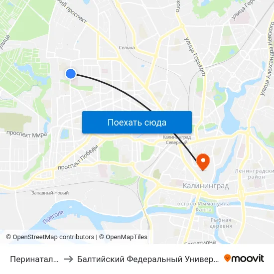 Перинатальный Центр to Балтийский Федеральный Университет Имени Иммануила Канта map