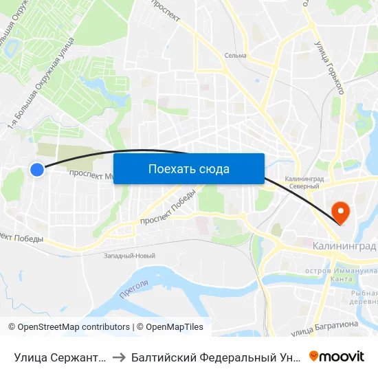 Улица Сержанта Мишина (В Центр) to Балтийский Федеральный Университет Имени Иммануила Канта map