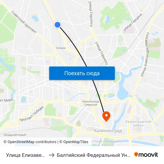 Улица Елизаветинская (Из Центра) to Балтийский Федеральный Университет Имени Иммануила Канта map