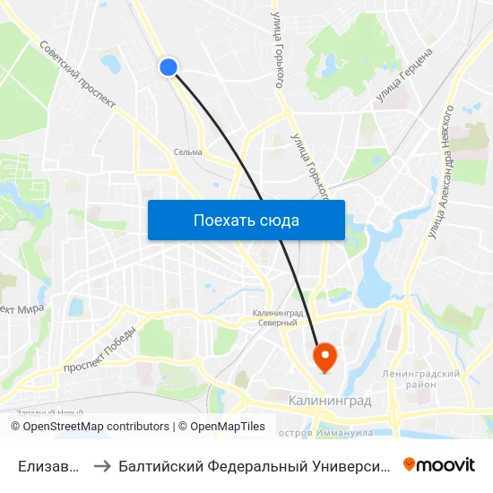 Елизаветинская to Балтийский Федеральный Университет Имени Иммануила Канта map