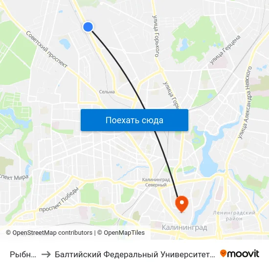 Рыбникова to Балтийский Федеральный Университет Имени Иммануила Канта map