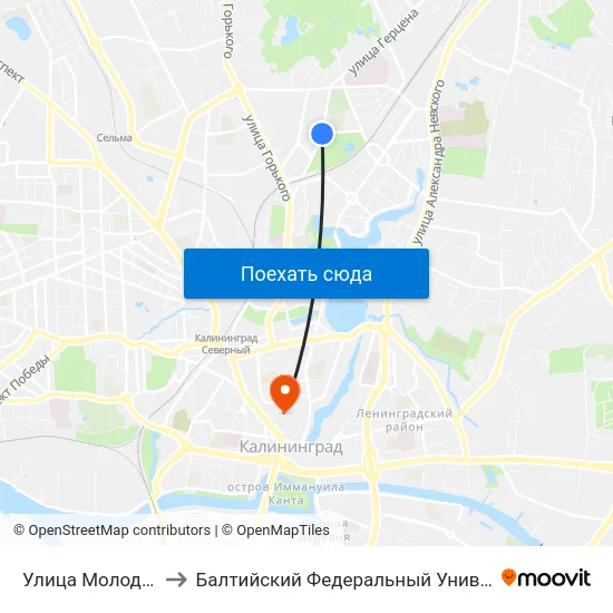 Улица Молодёжная (В Центр) to Балтийский Федеральный Университет Имени Иммануила Канта map