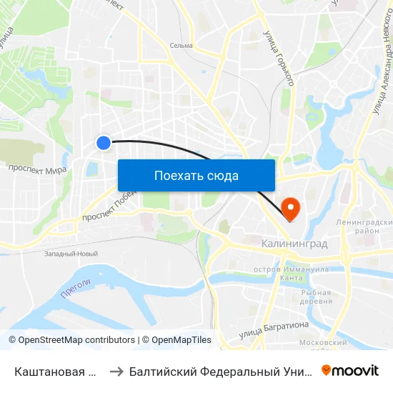 Каштановая Аллея (Из Центра) to Балтийский Федеральный Университет Имени Иммануила Канта map