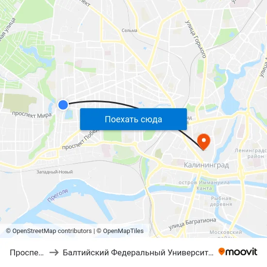 Проспект Мира to Балтийский Федеральный Университет Имени Иммануила Канта map