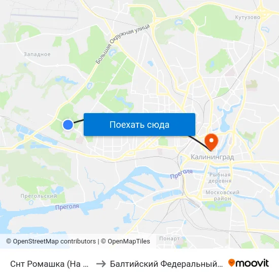 Снт Ромашка (На Ул. Тенистая Аллея, В Центр) to Балтийский Федеральный Университет Имени Иммануила Канта map