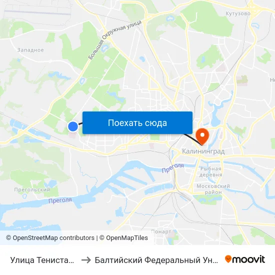 Улица Тенистая Аллея (Из Центра) to Балтийский Федеральный Университет Имени Иммануила Канта map