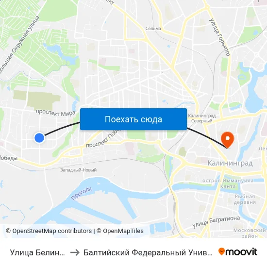 Улица Белинского (В Центр) to Балтийский Федеральный Университет Имени Иммануила Канта map
