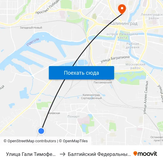 Улица Гали Тимофеевой (По Требованию, Из Центра) to Балтийский Федеральный Университет Имени Иммануила Канта map