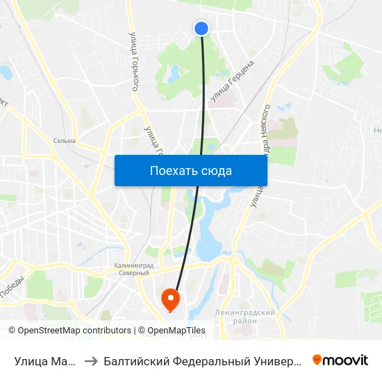 Улица Малая Лесная to Балтийский Федеральный Университет Имени Иммануила Канта map