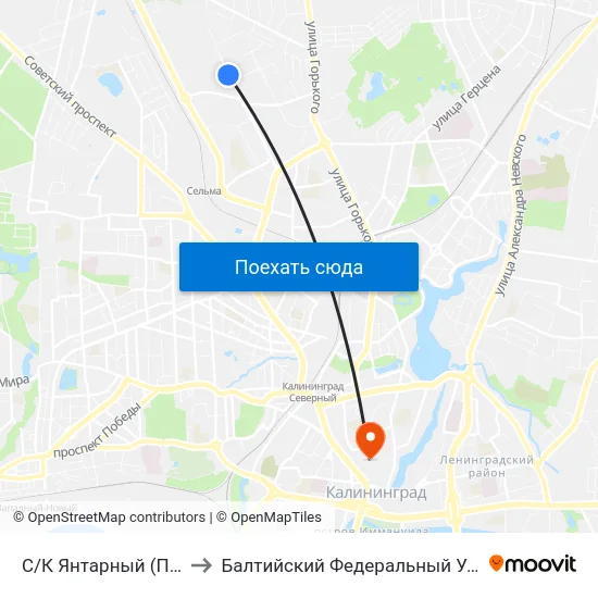 С/К Янтарный (По Требованию, В Центр) to Балтийский Федеральный Университет Имени Иммануила Канта map