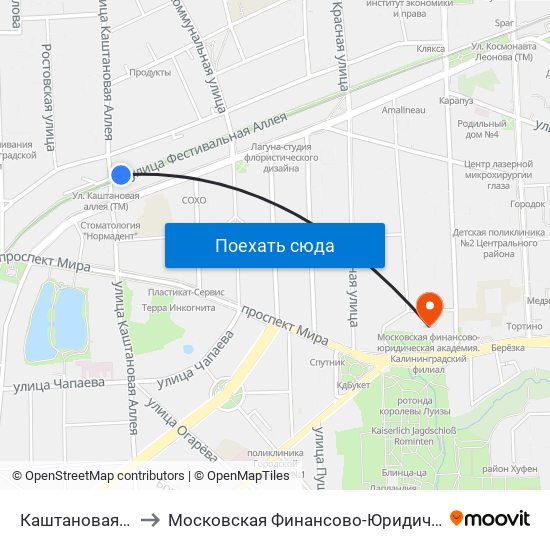Каштановая Аллея (Из Центра) to Московская Финансово-Юридическая Академия. Калининградский Филиал map