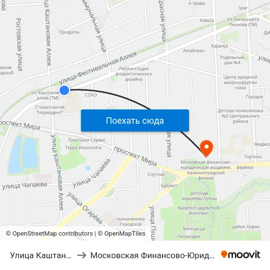 Улица Каштановая Аллея (Из Центра) to Московская Финансово-Юридическая Академия. Калининградский Филиал map