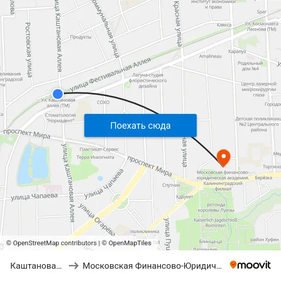 Каштановая Аллея (В Центр) to Московская Финансово-Юридическая Академия. Калининградский Филиал map