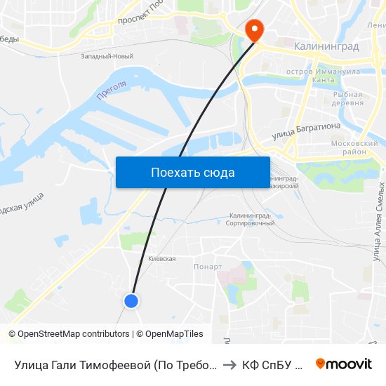 Улица Гали Тимофеевой (По Требованию, Из Центра) to КФ СпБУ МВД РФ map