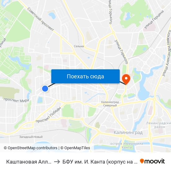 Каштановая Аллея (Из Центра) to БФУ им. И. Канта (корпус на Горького, бывш. БИЭФ) map