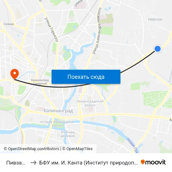 Пивзавод (В Центр) to БФУ им. И. Канта (Институт природопользования, терр. развития и градостроительства) map