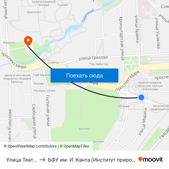 Улица Театральная (Из Центра) to БФУ им. И. Канта (Институт природопользования, терр. развития и градостроительства) map
