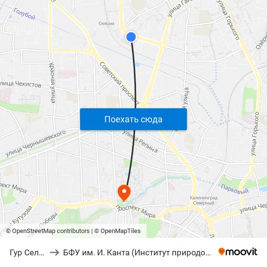 Гур Сельма (В Центр) to БФУ им. И. Канта (Институт природопользования, терр. развития и градостроительства) map