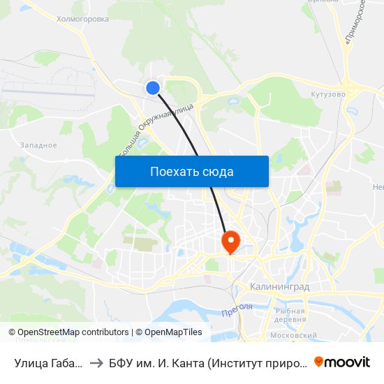 Улица Габайдулина (Из Центра) to БФУ им. И. Канта (Институт природопользования, терр. развития и градостроительства) map