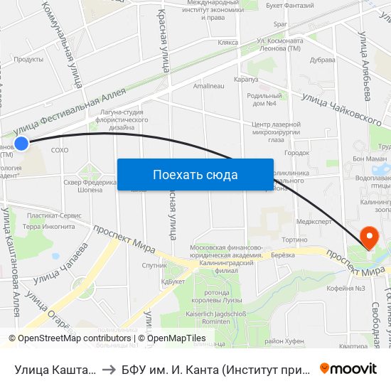 Улица Каштановая Аллея (Из Центра) to БФУ им. И. Канта (Институт природопользования, терр. развития и градостроительства) map