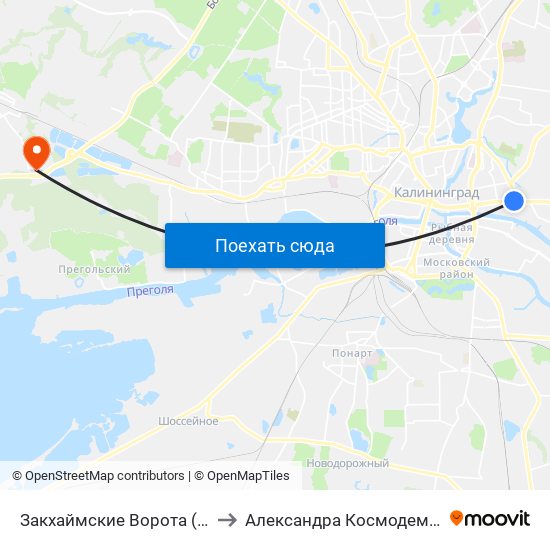 Закхаймские Ворота (В Центр) to Александра Космодемьянского map