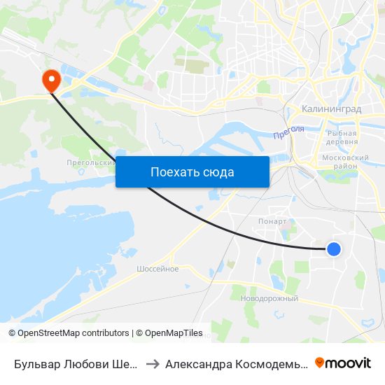 Бульвар Любови Шевцовой to Александра Космодемьянского map