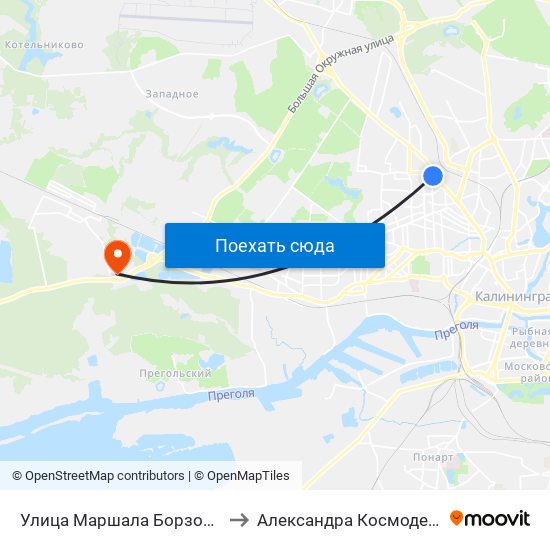 Улица Маршала Борзова (В Центр) to Александра Космодемьянского map