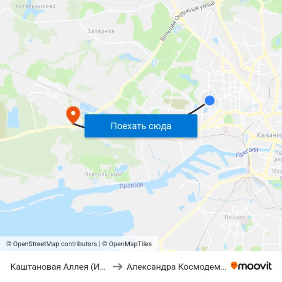 Каштановая Аллея (Из Центра) to Александра Космодемьянского map
