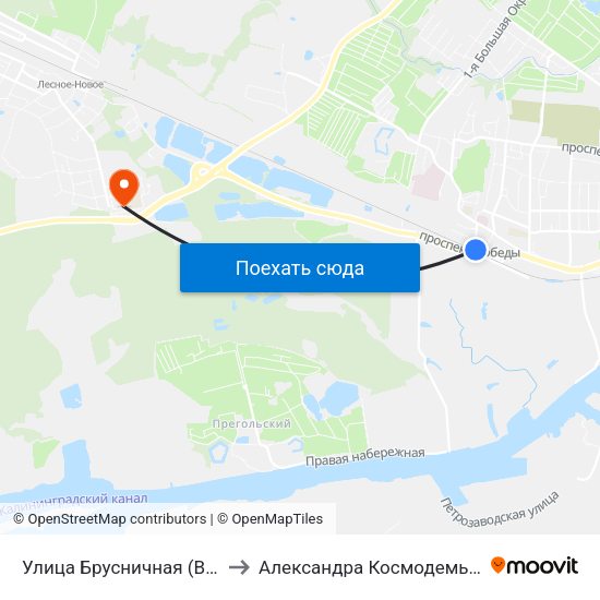 Улица Брусничная (В Центр) to Александра Космодемьянского map
