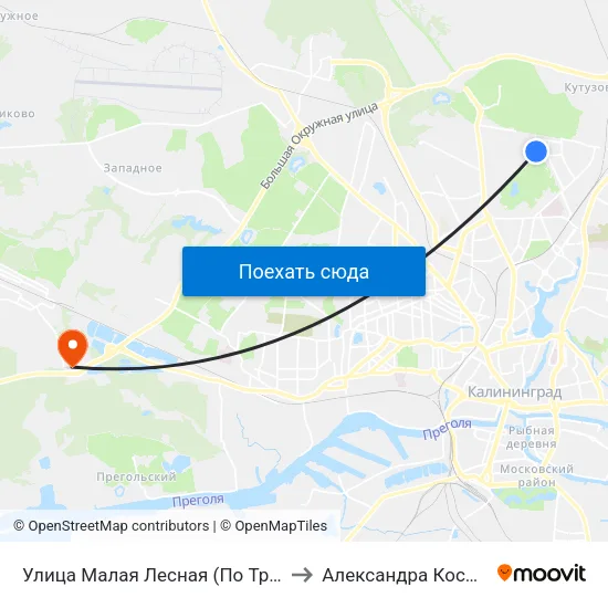 Улица Малая Лесная (По Требованию, Из Центра) to Александра Космодемьянского map