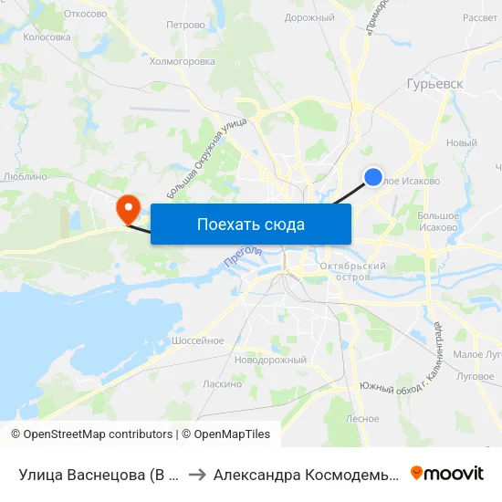 Улица Васнецова (В Центр) to Александра Космодемьянского map