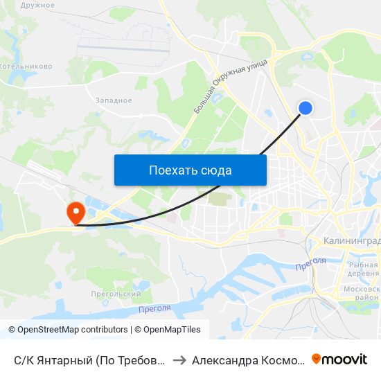 С/К Янтарный (По Требованию, Из Центра) to Александра Космодемьянского map