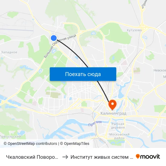 Чкаловский Поворот (Из Центра) to Институт живых систем БФУ им. Канта map
