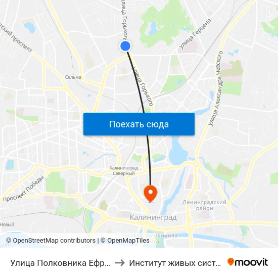 Улица Полковника Ефремова (Из Центра) to Институт живых систем БФУ им. Канта map