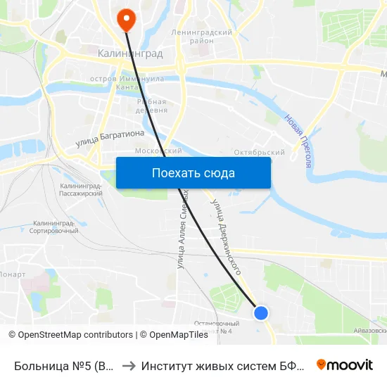 Больница №5 (В Центр) to Институт живых систем БФУ им. Канта map