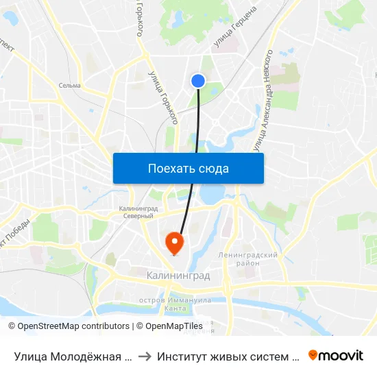 Улица Молодёжная (Из Центра) to Институт живых систем БФУ им. Канта map